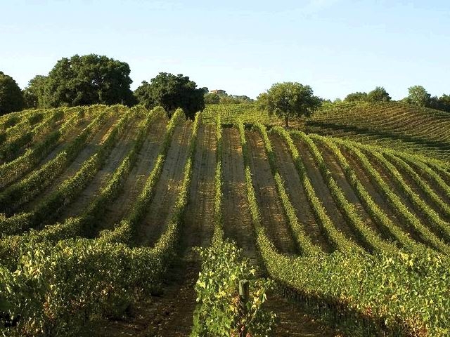 A MAGLIANO IN TOSCANA, LO SPLENDIDO BORGO MAREMMANO, PER UN ROMANTICO SAN VALENTINO E PER CONOSCERE FATTORIA MANTELLASSI